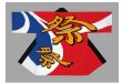 画像1: 【大人法被】イベント・まつり　処分価格ハッピ はっぴ 半纏　在庫限定売り切れ御免 (1)